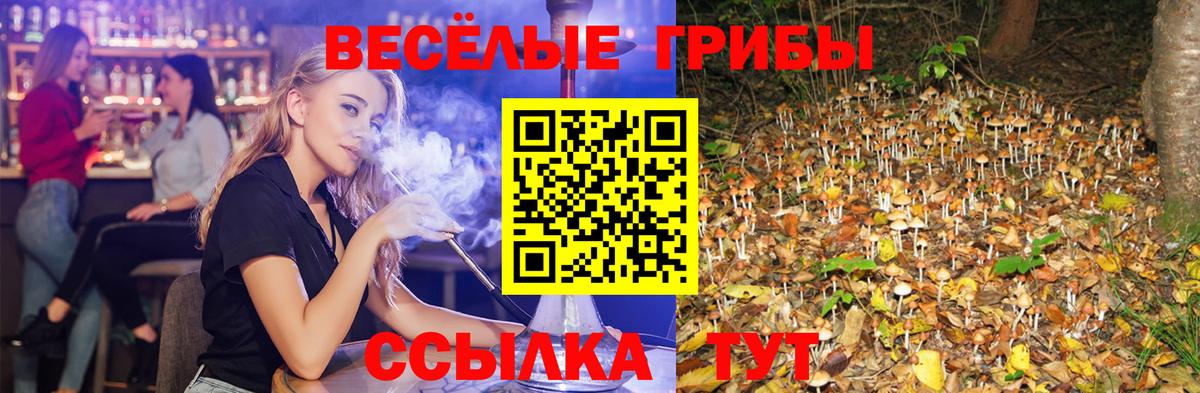 Псилоцибиновые грибы Magic Shrooms Бирск